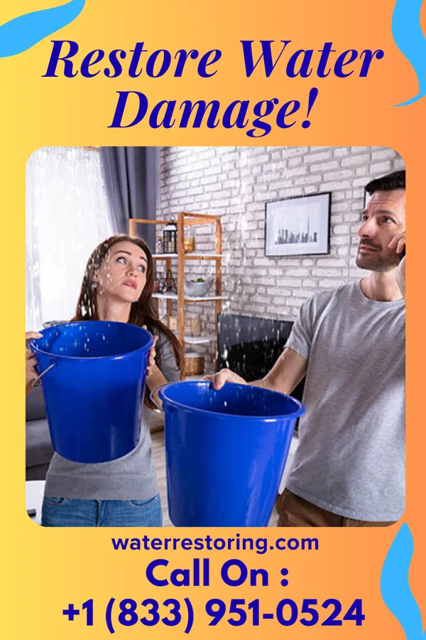 water restoration Stellar Sewage Cleanup Company Morehead