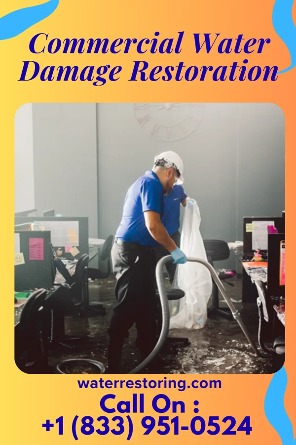 Commercial Water Damage Restoration in Morehead, KY
